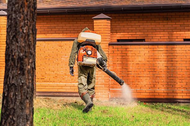 Top rated local Mosquito Control specialists in Eagle Lake, WI